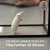 The Father of Stress
